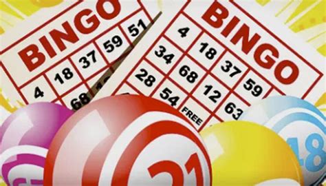  bingo online opiniones